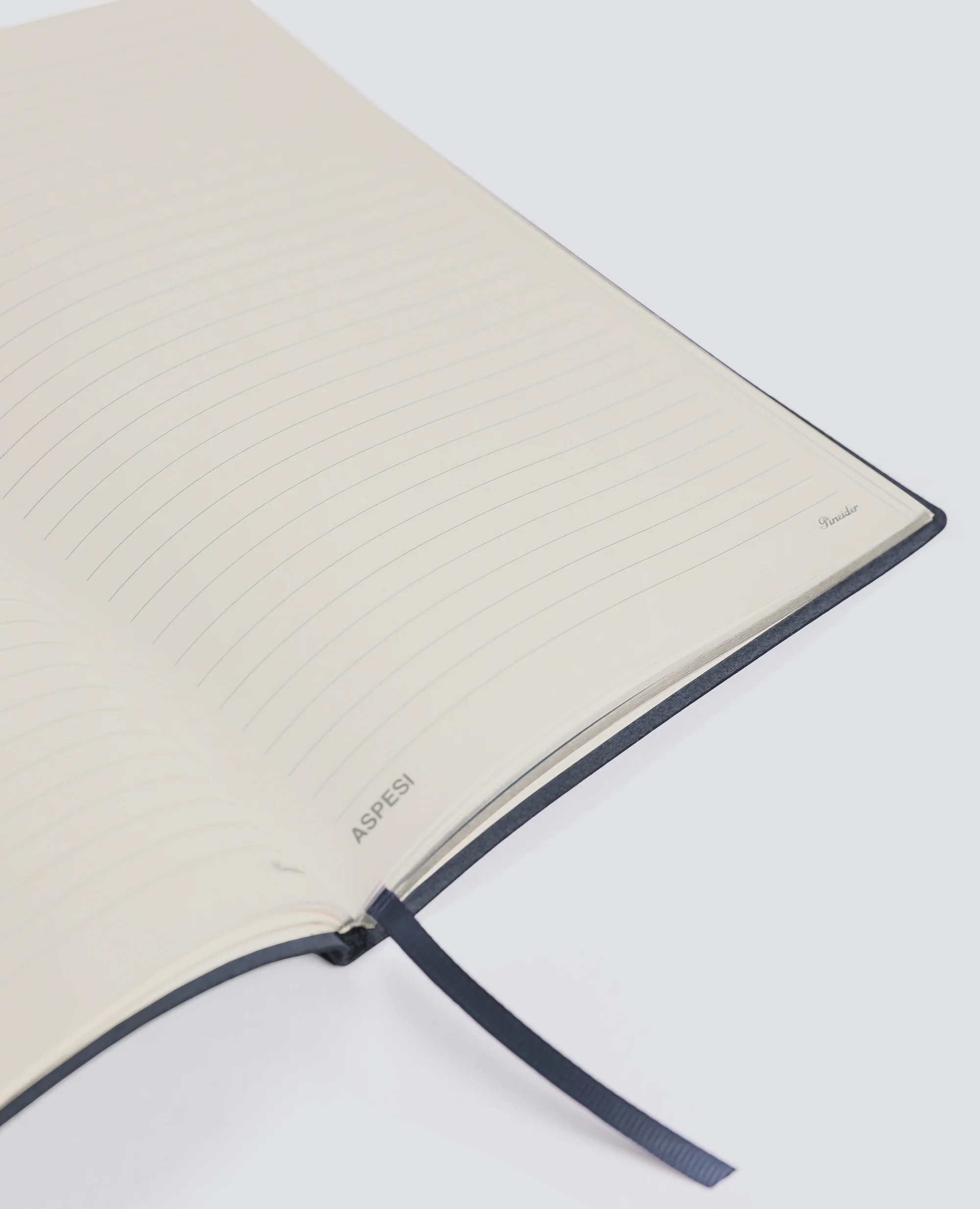 NOTEBOOK "NOT THIS YEAR" PINEIDER 1774 X ASPESI - BLU - Image 7